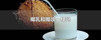 ​椰乳跟椰汁的区别 椰浆跟椰奶