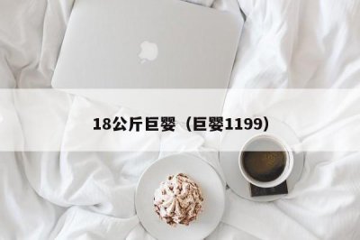 ​18公斤巨婴（巨婴1199）