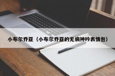 ​小布尔乔亚（小布尔乔亚的无病神吟表情包）