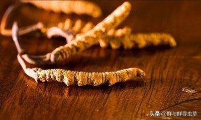 ​怎样鉴别冬虫夏草真假？方法在这里！