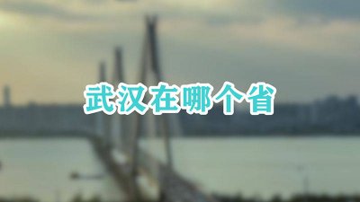 ​武汉在哪个省份 武汉在哪个省市