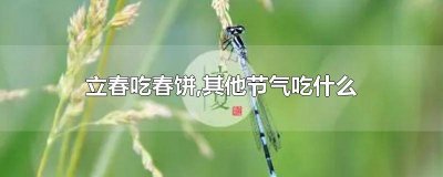 ​春饼是什么节气吃 吃春饼是什么节气?