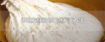 ​面团不用发酵粉可以吗 不用发酵粉用什么可以发面