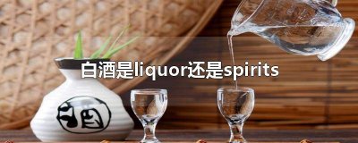 ​白酒可以用liquor rlq是什么酒