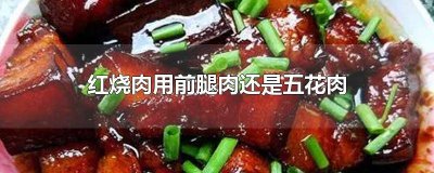 ​前腿肉做红烧肉好吃吗 红烧肉上五花肉好还是下五花肉