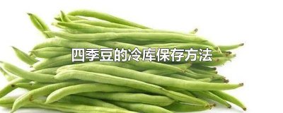 ​四季豆的冷库保存方法窍门 四季豆的冷库保存方法图片