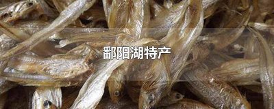 ​鄱阳湖野生鱼种类 鄱阳湖特色水产