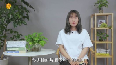 ​多肉掉叶是怎么回事儿 多肉植物掉叶是怎么回事