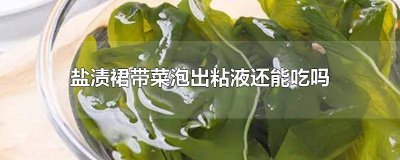 ​盐渍裙带菜怎么泡 盐渍裙带菜泡发后可以直接吃吗