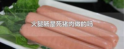 ​火腿肠是死猪肉做的吗能吃吗 火腿肠是死猪肉做的吗图片