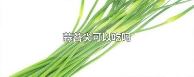 ​蒜苔尖子可以吃吗 蒜苔最尖端部分能吃吗