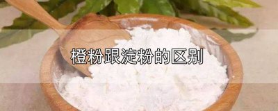 ​橙粉和淀粉有什么区别 橙粉是淀粉吗