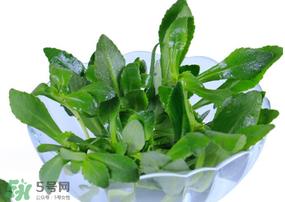 救心菜有毒吗？救心菜怎么吃没毒？