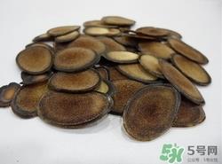 鹿茸可以泡酒吗?鹿茸泡酒的功效