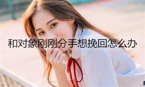 和对象刚刚分手想挽回怎么办1