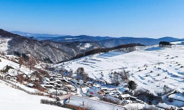 一个默默无闻的山东移民村，凭什么被叫“中国雪村”