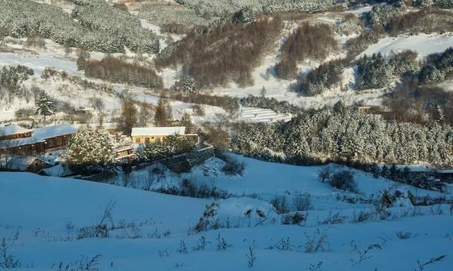 一个默默无闻的山东移民村，凭什么被叫“中国雪村”