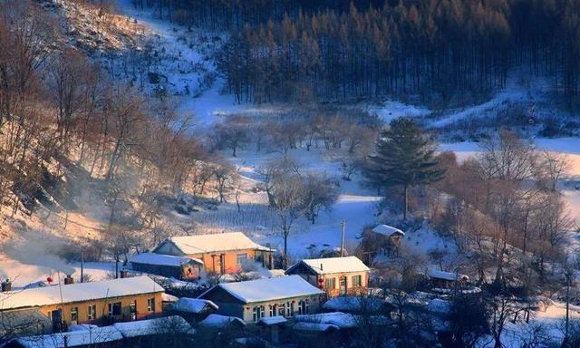 一个默默无闻的山东移民村，凭什么被叫“中国雪村”