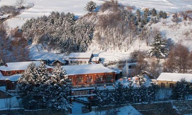 一个默默无闻的山东移民村，凭什么被叫“中国雪村”