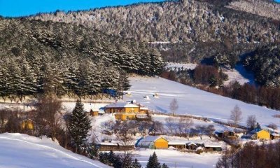 ​一个默默无闻的山东移民村，凭什么被叫“中国雪村”