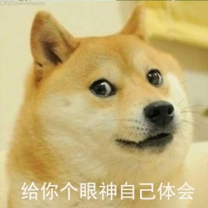 ​「萌宠」行走的柴犬表情包，你收藏了吗？