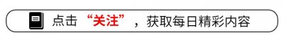 ​有一种“较量”叫刘亦菲和陈金飞，至今才看懂了其中的利弊！